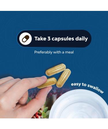 Balancing Berberine Plus 1200mg Complex with Ceylon Cinnamon & Milk Thistle - Heart Health & Sugar Support - 120 Veg Caps - Buy Online on GoSupps.com