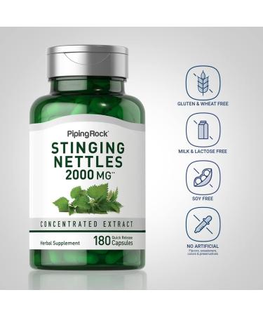 Piping Rock Stinging Nettles Supplement | 180 Capsules | Concentrated Herb Leaf Extract | Non-GMO Gluten Free - Buy Online on GoSupps.com