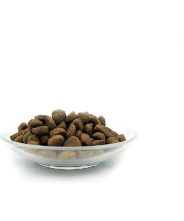 Bellfor Heide-Schmaus Grain-free lamb and wild rabbit croquettes High proportion of omega-3 fatty acids Rich in vitamins minerals and natural antioxidants 2.5 kg - Buy Online on GoSupps.com