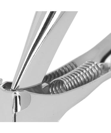 Nail Clippers DIY Stainless Steel Professional Nail Clippers with Wide Application for Beauty Salon (Jiawuv2m8i9u3xq-12) - Buy Online on GoSupps.com