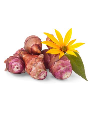 Buy Fresh Jerusalem Artichoke Tubers - 1000g | Premium Quality International Shipping - Buy Online on GoSupps.com