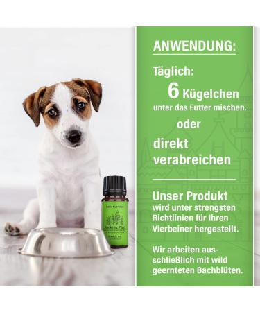Buy Saint Nutrition Itching Plus Sucrose Beads | Dietary Supplements for Dogs & Cats | 10g - International Shipping Available - Buy Online on GoSupps.com