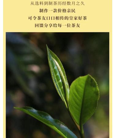 Pu-erh tea 2020 SHENG JIA YUAN Sleepy Deer Mountain 357g Raw - Buy Online on GoSupps.com