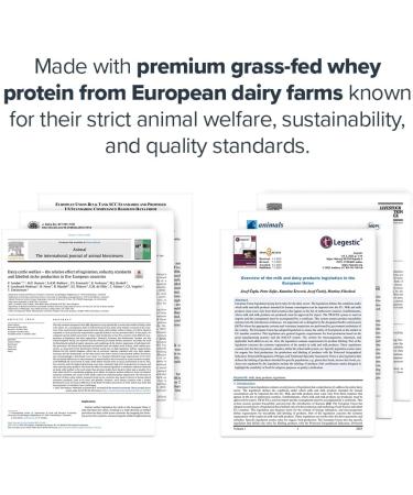 LEGION Clear Whey Protein Isolate Grass-Fed Naturally Sweetened 22g Protein 14g Essential Amino Acids 6.4g BCAAs Fruit Punch 20 Servings - Buy Online on GoSupps.com