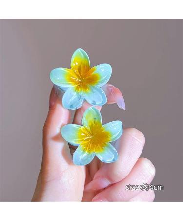 Hair clips Claw Clips 1 Pc Fashion Women Beach Vacation Hair Clips Hair Claw Girls Flower Sweet Hair Claw Hairpin Women Girls Accessories-O(Q) - Buy Online on GoSupps.com