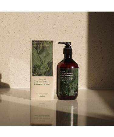Body Care Solutions Hand & Body Wash with Ginseng Tree Sap Oil - Anti-Aging Quick-Absorbing 100% Vegan for All Skin Types - 10.41 fl. oz - Buy Online on GoSupps.com