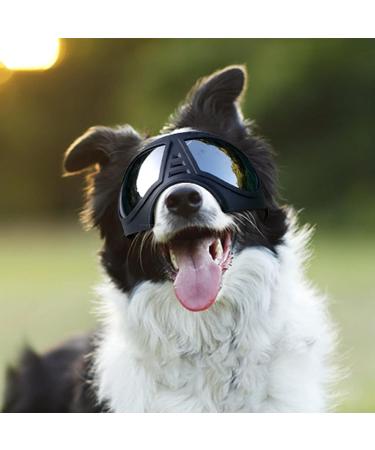 PETLESO Dog Sunglasses | Eye Protection Goggles for Large Dogs | Safety Glasses for Outdoor Activities - Buy Online on GoSupps.com