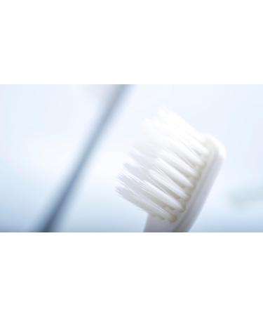 Fabufabu Japanese Style Toothbrush Set - 4 Exquisite Brushes for Travel Kids & Daily Oral Care - Buy Online on GoSupps.com