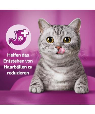 Whiskas Anti-Hairball Cat Snack - 8x60g - Prevent Hairballs with Delicious Treats | International Shipping Available - Buy Online on GoSupps.com