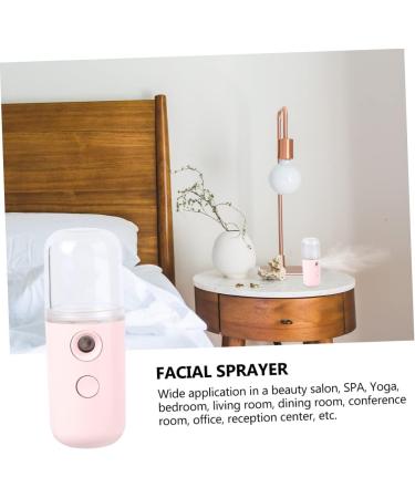 BIUDECO 1pc Portable Humidifier Face Mist Sprayer Machine Facial Steamer Plastic Student Usb Small Fan Pink 14.5X4CM Pink - Buy Online on GoSupps.com