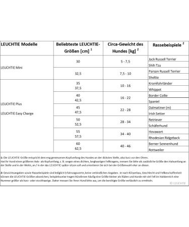Leuchtie Luminous Elbe LED Dog Collar | Waterproof USB Charging 25h Light | Hot Pink for Small Medium & Large Dogs - Buy Online on GoSupps.com