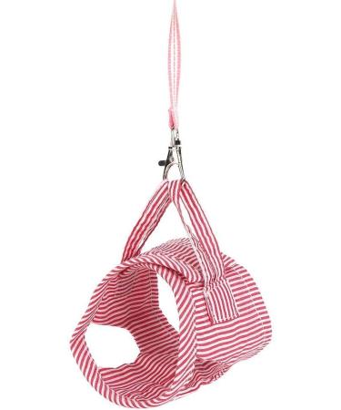 Small Animals Adjustable Harness Vest & Leash Set for Outdoor Walking - Red S | Ideal for Guinea Pigs, Squirrels, Hedgehogs, Ferrets, Rabbits - Buy Online on GoSupps.com