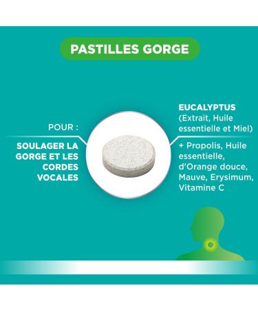 Fort Pharma - RinoRub Throat Lozenges | Throat Supplement - Sore Throat Vocal Cords | Eucalyptus Essential Oil Vitamin C Thyme Peppermint | 20 Lozenges - Buy Online on GoSupps.com