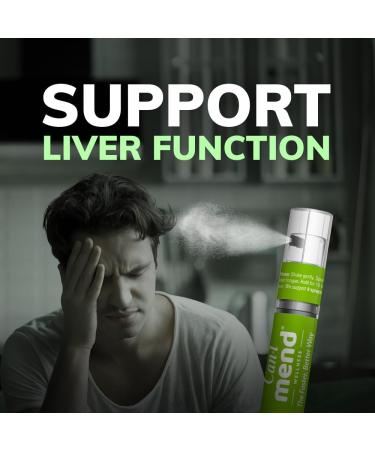 Late Night | Morning Recovery Fast Acting Oral Spray | 30 Servings | Post Party Relief | Multi Vitamins A E B6 | Immune Support | After Drink Remedy by Can-i Mend Mend 30 Serving (Pack of 1) - Buy Online on GoSupps.com