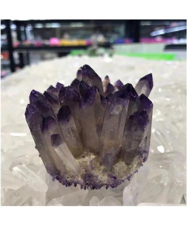 Natural Crystal Rough Stone Crafts 1pc Natural Purple Crystal Cluster Stone geomantic furnishings degaussing Transfer Home furnishings Amethyst (Size : 330-350g) - Buy Online on GoSupps.com