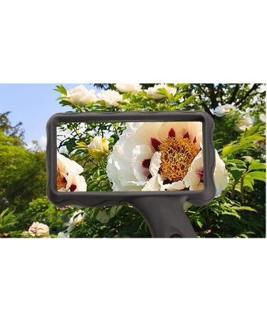 Magnifying Glasses Vision aids Magnifying Glass with Light for Books Newspapers Maps Coins Jewellery Hobbies & Crafts Stationery Office Supplies 1PCS Better Life - Buy Online on GoSupps.com