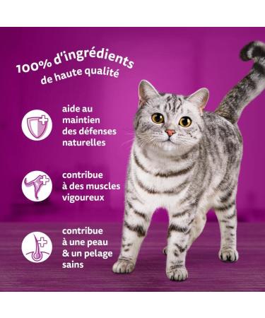 WHISKAS Cat Meals - 48 Fresh Sachets (Pack of 2 Packs 24x85g) - Favorite Fish (4 varieties) - Cat Pate - Buy Online on GoSupps.com