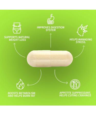 NATUVITZ Garcinia Cambogia Extract 70% HCA 1600mg (90 Count) - Vegan Friendly, Gluten Free, Non-GMO Digestion & Metabolism Booster Pills - Buy Online on GoSupps.com