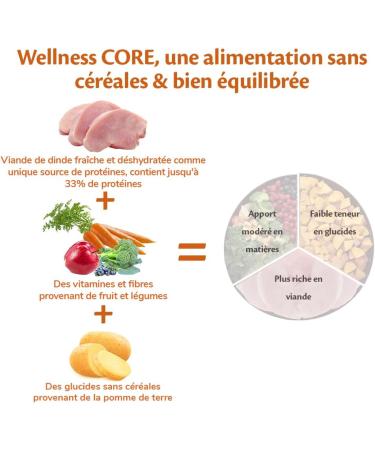 Wellness Core Low Fat Dry Dog Food for Large and Medium Breeds Low in Fat Natural and Grain-Free Turkey 1.8 kg - Buy Online on GoSupps.com