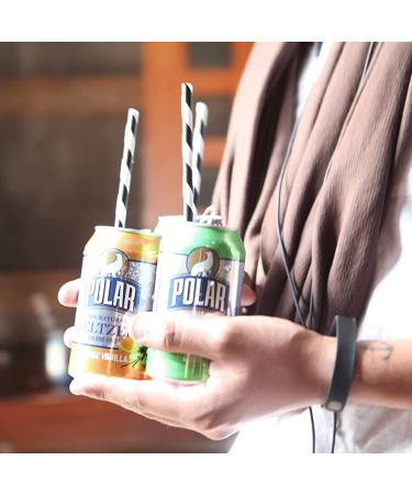 Polar Seltzer Water Assorted 12 Pack - 12 Flavor Variety, 12 fl oz Cans by LastFuel - Buy Online on GoSupps.com