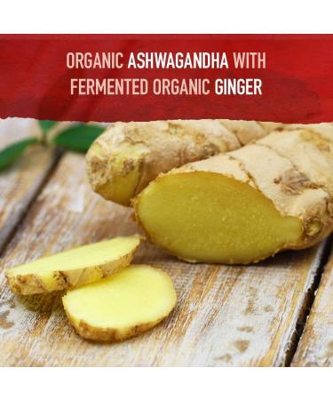 Buy Garden of Life MyKind Organics Ashwagandha Stress & Mood - 60 Vegan Tablets - Buy Online on GoSupps.com