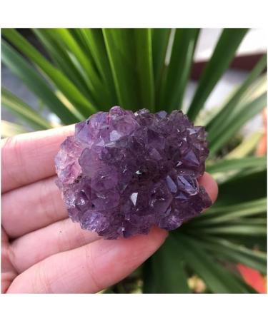 Crystal Rough Natural Dream Amethyst Quartz Crystal Cluster Specimen - Buy Online on GoSupps.com