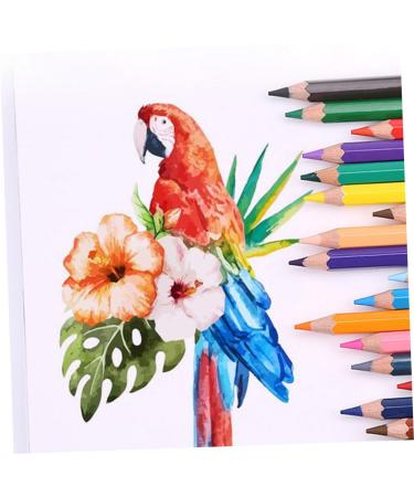 Lurrose 72 pcs Kids Coloring Accessory Art Multi-function Convenient Portable Pencils School Drawing Colorfulx2pcs 17.5X0.8CMx2pcs - Buy Online on GoSupps.com