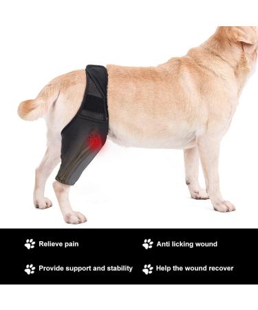 Pet Dog Injury Knee Brace Leg Inflammation Pain Alleviate Leg Support Sheaths for Dogs Outdoor Walking Accessories - Buy Online on GoSupps.com