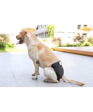 Petmia Washable Dog Diapers Hygiene Underpants for Dogs in Heat | 5 Sizes XS to XL | Black (XL: 60-82cm) - International Shipping Available - Buy Online on GoSupps.com