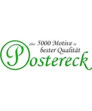 Postereck 1215 High-Resolution Fitness Poster - Motivational Gym & Bodybuilding Art for Women | 61x40.5 cm - Buy Online on GoSupps.com