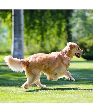 Unique Style Paws Rose Dog Collar - Adjustable Wide Chain for Small Medium & Large Dogs - Perfect Gift! - Buy Online on GoSupps.com