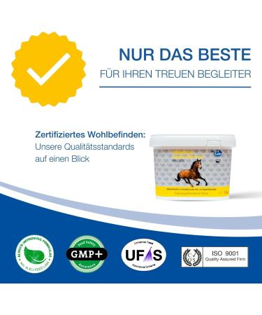 Nutrilabs IROSTOL 2 kg Pellets - Premium Nutritional Supplement for Horses | Vitamins Biotin MSM & Minerals for Healthier Skin & Fur - Buy Online on GoSupps.com