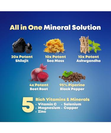 Shilajit Pure Himalayan Organic Capsules with Irish Sea Moss Ashwagandha Copper Beet Root - Fulvic Acid Trace Minerals Supplement for Men & Women - 90 Count Non-GMO Gluten-Free 90 Count (Pack of 1) - Buy Online on GoSupps.com