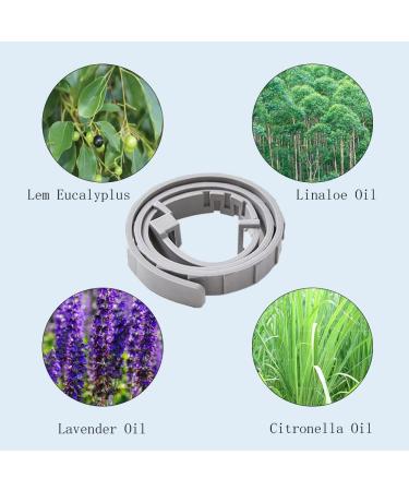 Teck Neck Band for Dogs & Cats | Adjustable Tick & Flea Collar | 100% Natural Ingredients | Up to 8 Months Protection - Buy Online on GoSupps.com