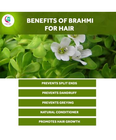 Brahmi Powder 8 Oz - Natural Hair Growth & Memory Booster | Scalp Nourishing Mask | Bacopa Monnieri Powder by Yogi's Gift - Buy Online on GoSupps.com