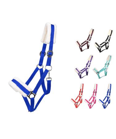 Netproshop Solid Horse Halver Padded and adjustable size.Mini Shetty to Full U Cold Blood Groesse: cold blood color: cobalt blue cobalt blue cold blood