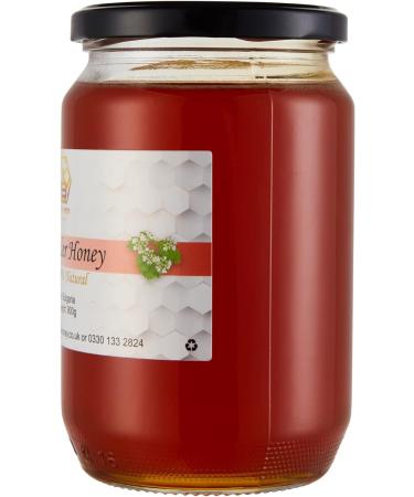 Honey Raw Coriander Honey Pure 100% Natural Real Raw Honey - Buy Online on GoSupps.com