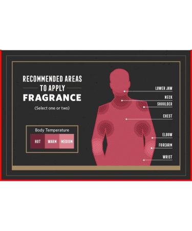 INDRA-SUGANDH BHANDAR Luxury Attar For Men Jannat E Firdaus Firdos 12ml Rollon Attar Box Swiss Gold ittar/itra/itar Long Lasting Attar 100% Alcohol Free Pack - Buy Online on GoSupps.com