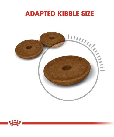 Royal Canin Digestive Comfort Cat Food 2 kg - Supports Digestive Health - Buy Online on GoSupps.com