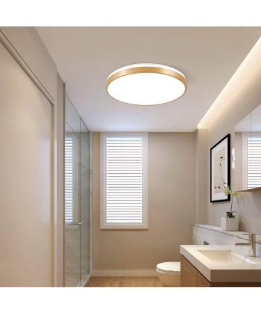 Horevo 30cm Bluetooth Ceiling Lamp - Dimmable & Color-Changing Remote Control 24W Champagne Gold Light & Speaker for Kids Room and Bedroom - Buy Online on GoSupps.com