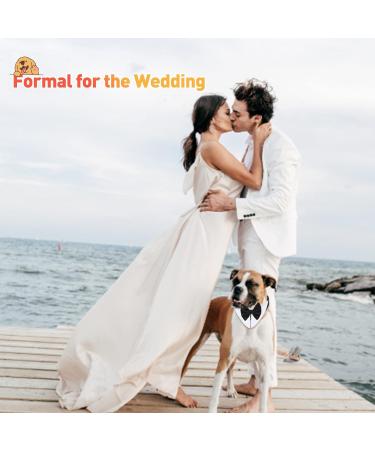 Hacraho Formal Dog Collar with Fly - Tuxedo Style Pet Smoking Collar for Medium & Large Dogs (Neck 18.98-20.98) - International Shipping Available - Buy Online on GoSupps.com