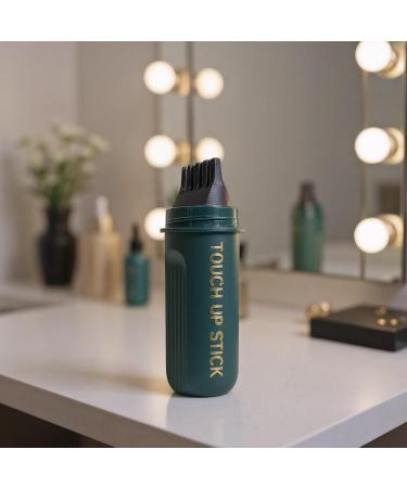 Stick Camouflage Cheveux Blancs | Stick de Couverture pour Cheveux Gris et Zones Clairsem es | Correcteur Cosm tique Imperm able Tenue Longue Adultes Hommes Femmes et Salon Noir - Buy Online on GoSupps.com
