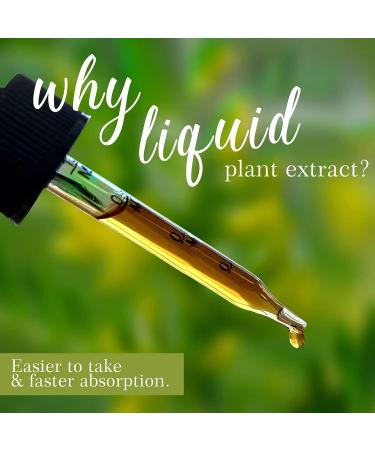 AUKFAY Dong Quai Liquid Extract - Female Reproductive Support - 1 Fl Oz - Buy Online on GoSupps.com