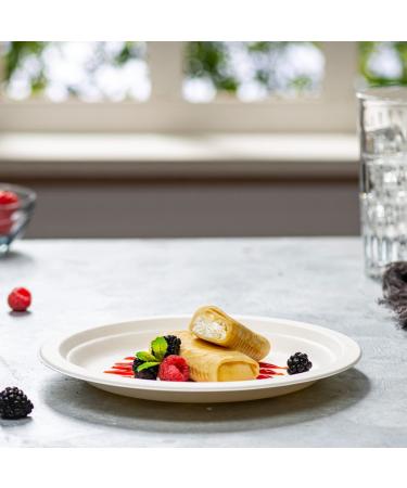 125-Pack 9 Inch Eco-Friendly Compostable Paper Plates - Heavy-Duty Sugarcane, Disposable, White - 125 Count - Buy Online on GoSupps.com