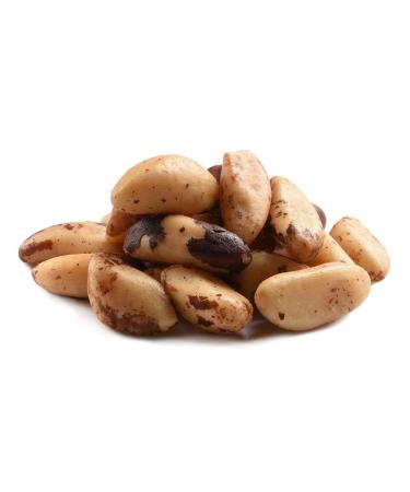 Roasted Brazil Nuts Salted in Bulk, 10lb Case  Bulk Salted Brazil Nuts 10 Pound Case