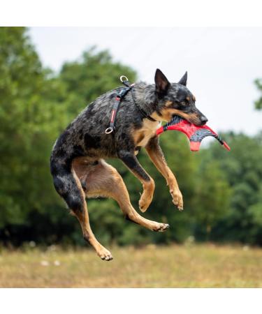 Ezydog Anti Pull Dog Harness - Crosscheck Adjustable Reflective Dog Training Accessory for Small Medium & Large Dogs (Size S Red) - Buy Online on GoSupps.com