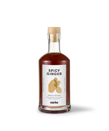 Aarke Drink Mixer Hot Ginger 350 ml