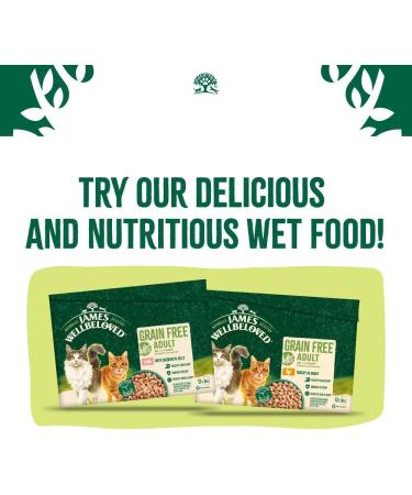 James Wellbeloved Hypoallergenic Dry Cat Food for Adult Cats Oralcare Turkey 1.5 kg - Buy Online on GoSupps.com