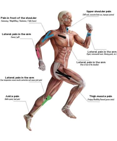 Kinesiology Tape-Sports Injury Tape for Knee Joint Muscle Support-Adhesive Kinetic Tape Tape Black Sky Blue - Buy Online on GoSupps.com