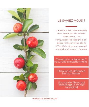 Food supplement-Immune defenses-Microbiote- Acerola- Vitamins- Spirulina Bio Ecocert 19% Phycocyanin- Spiru D fenses Bio Eco of 210 vegetable capsules Made in France Spirunutri - Buy Online on GoSupps.com